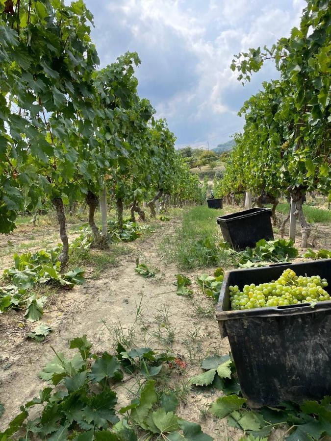 Agriturismo Pian Del Duca Vesime Exteriör bild