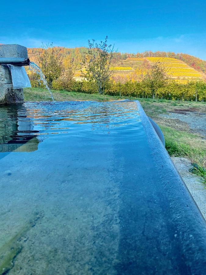 Agriturismo Pian Del Duca Vesime Exteriör bild
