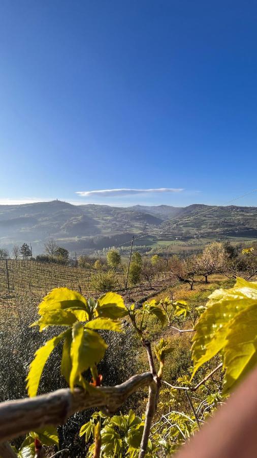 Agriturismo Pian Del Duca Vesime Exteriör bild
